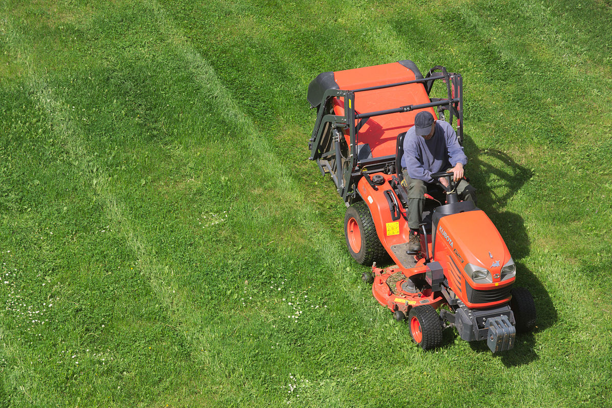 Entretien des pelouses